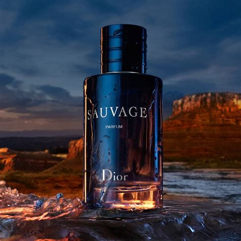 saulvage dior parfun 100 ml|Dior Sauvage Parfum prix.